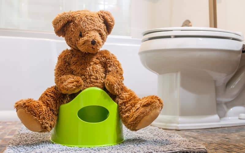 Toilet Training: Learning Together Groups