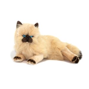 Weighted Violet the Himalayan Cat
