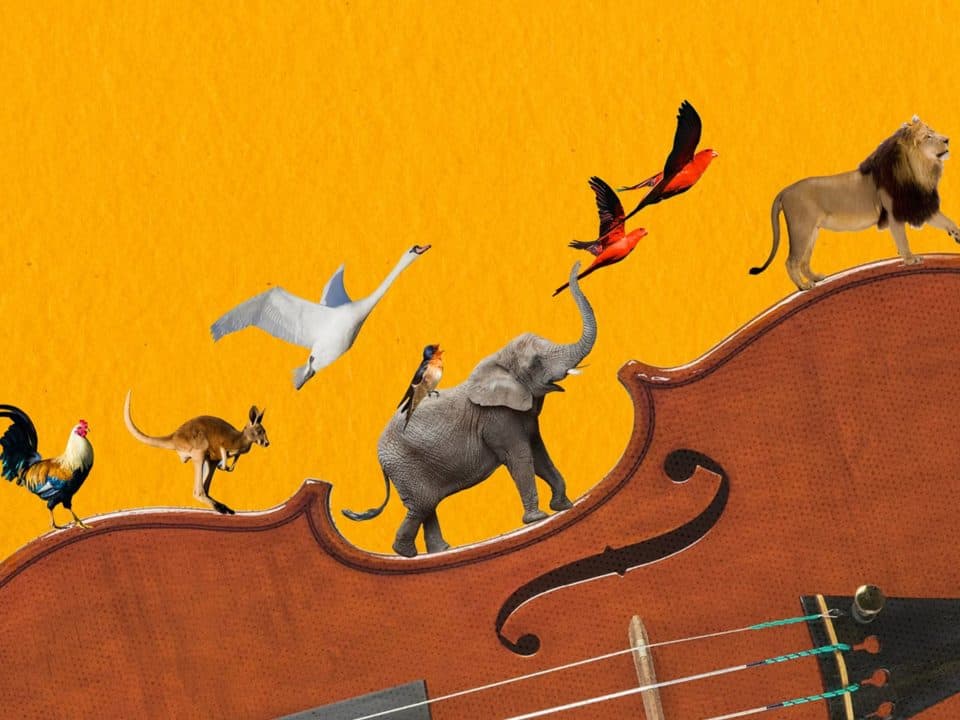 fire the imagination of the young people in your life