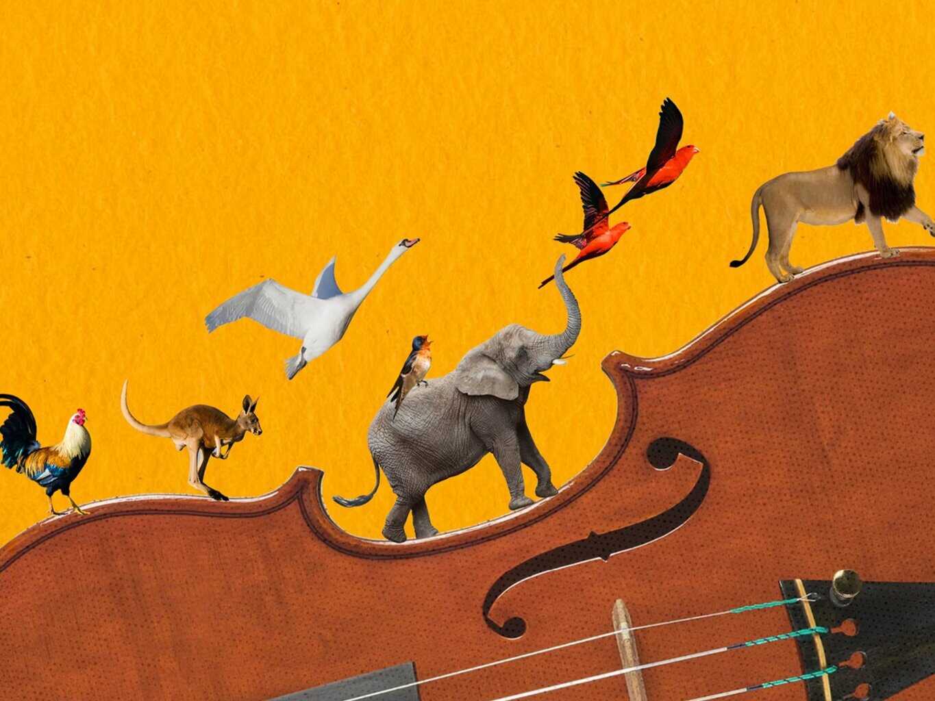 fire the imagination of the young people in your life