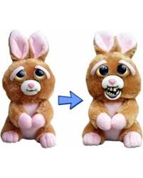 Feisty Pet Bunny