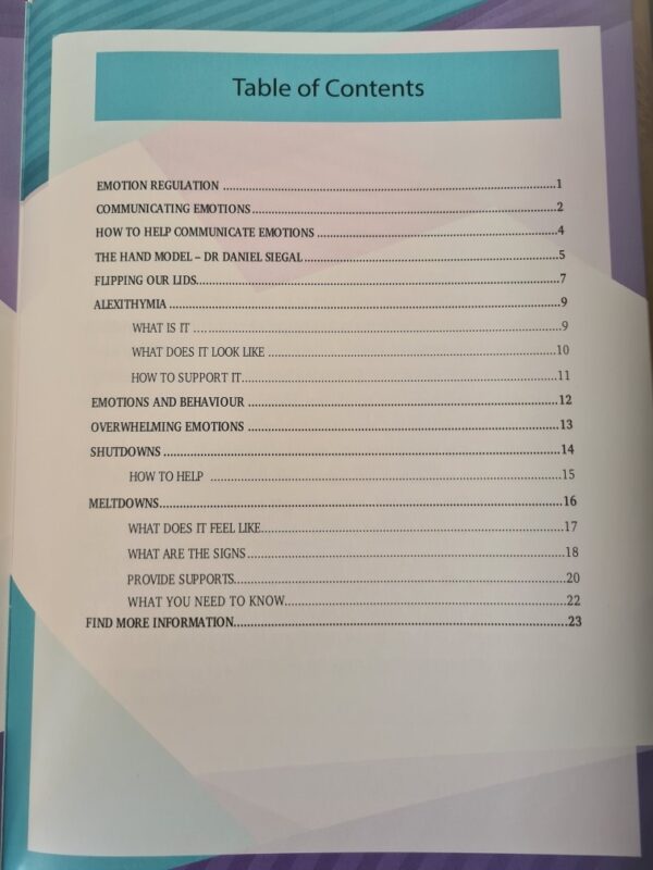 Autistically Explained: EMOTION REGULATION - Image 2